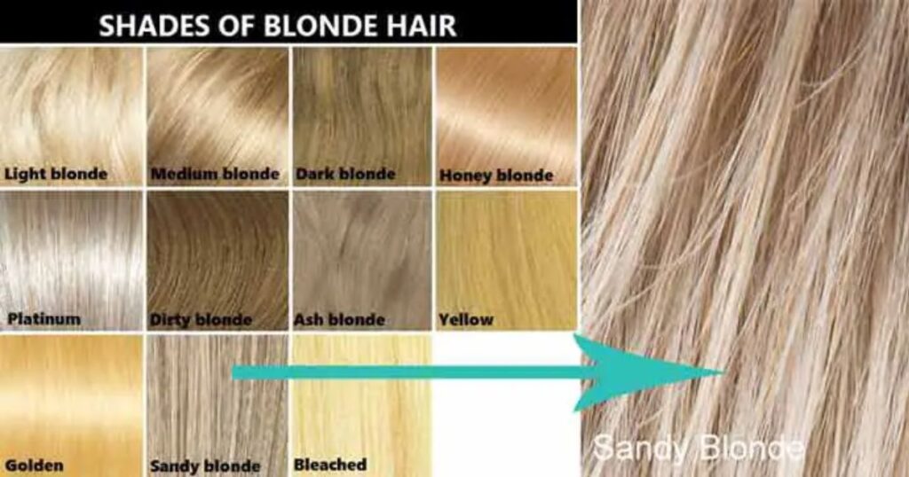 What Is Sandy Hair Color 